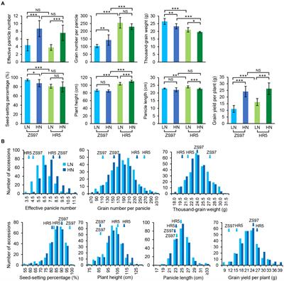Comprehensive QTL analyses of nitrogen use efficiency in indica rice